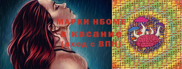 гидропоника Каменногорск