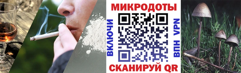 Галлюциногенные грибы Cubensis  кракен как зайти  Кингисепп 